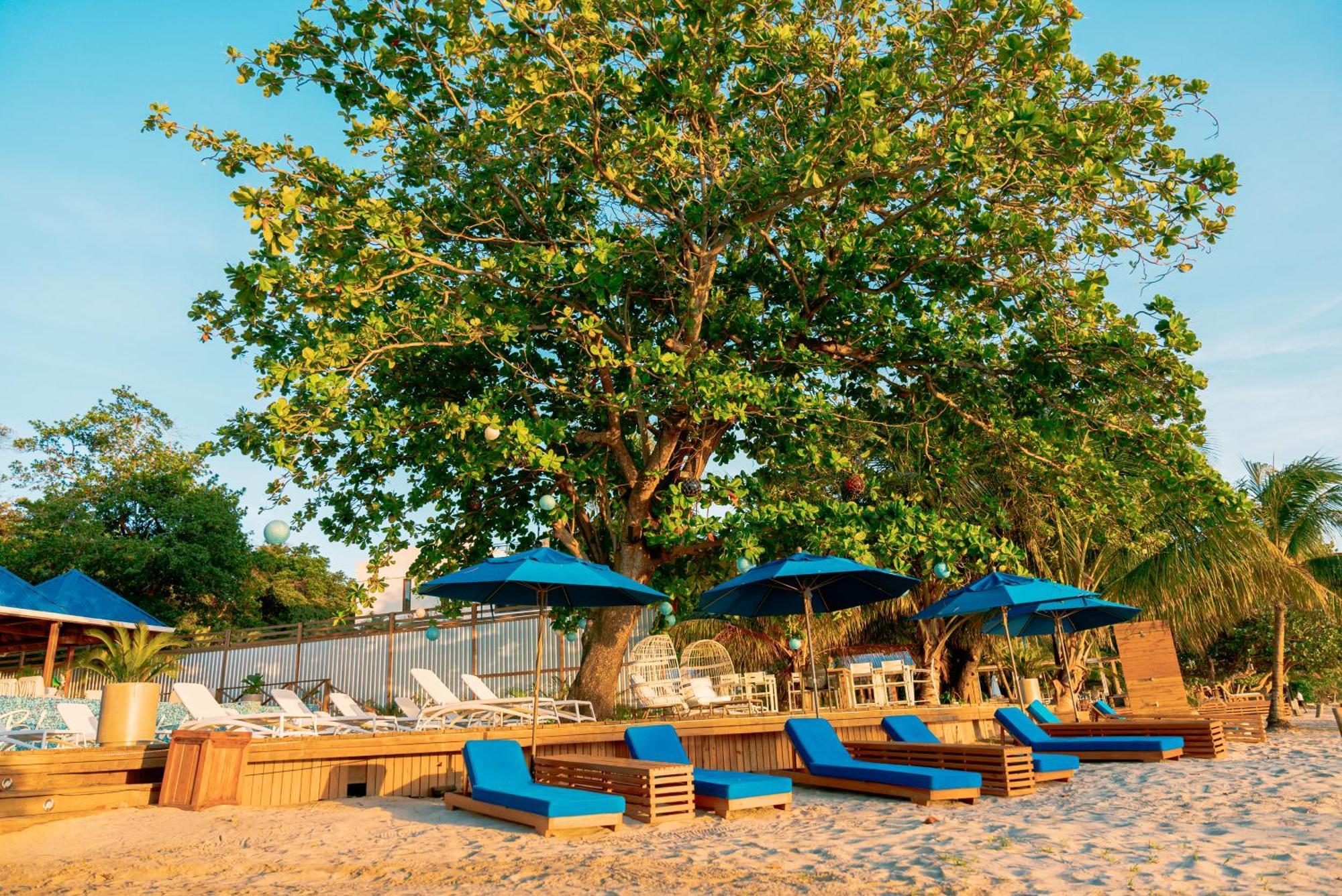 Blue Roatan Resort Вест Бэй Экстерьер фото